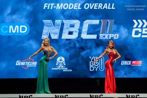 FIT-MODEL OVERALL